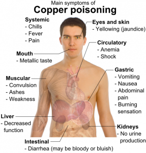 Copper Poisoning - Herbbalah.com